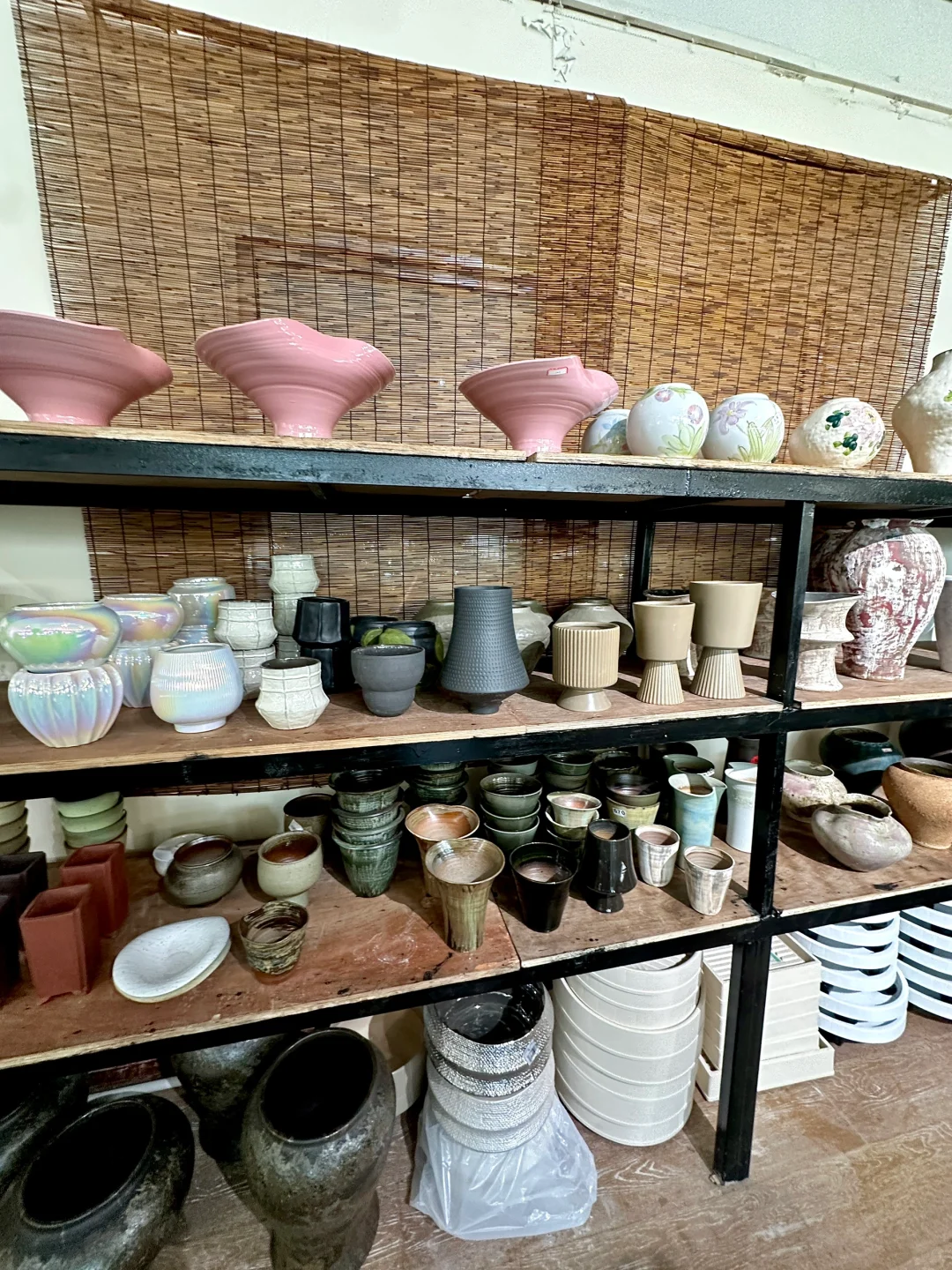 威海真的不缺无聊闲逛的小店……（绿植篇）