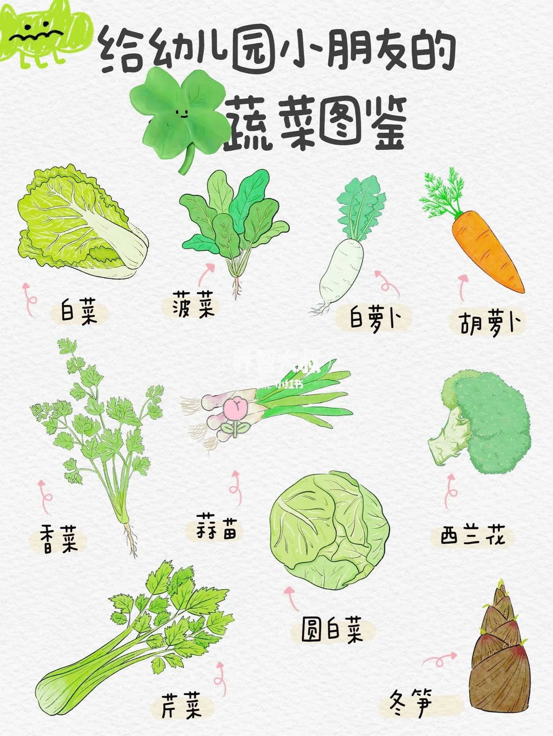 给小朋友的蔬菜图鉴
