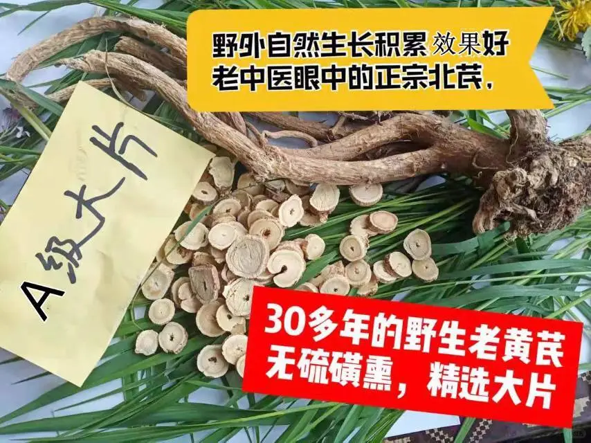 野生黄芪枸杞林下参（人参）东北长白山野生