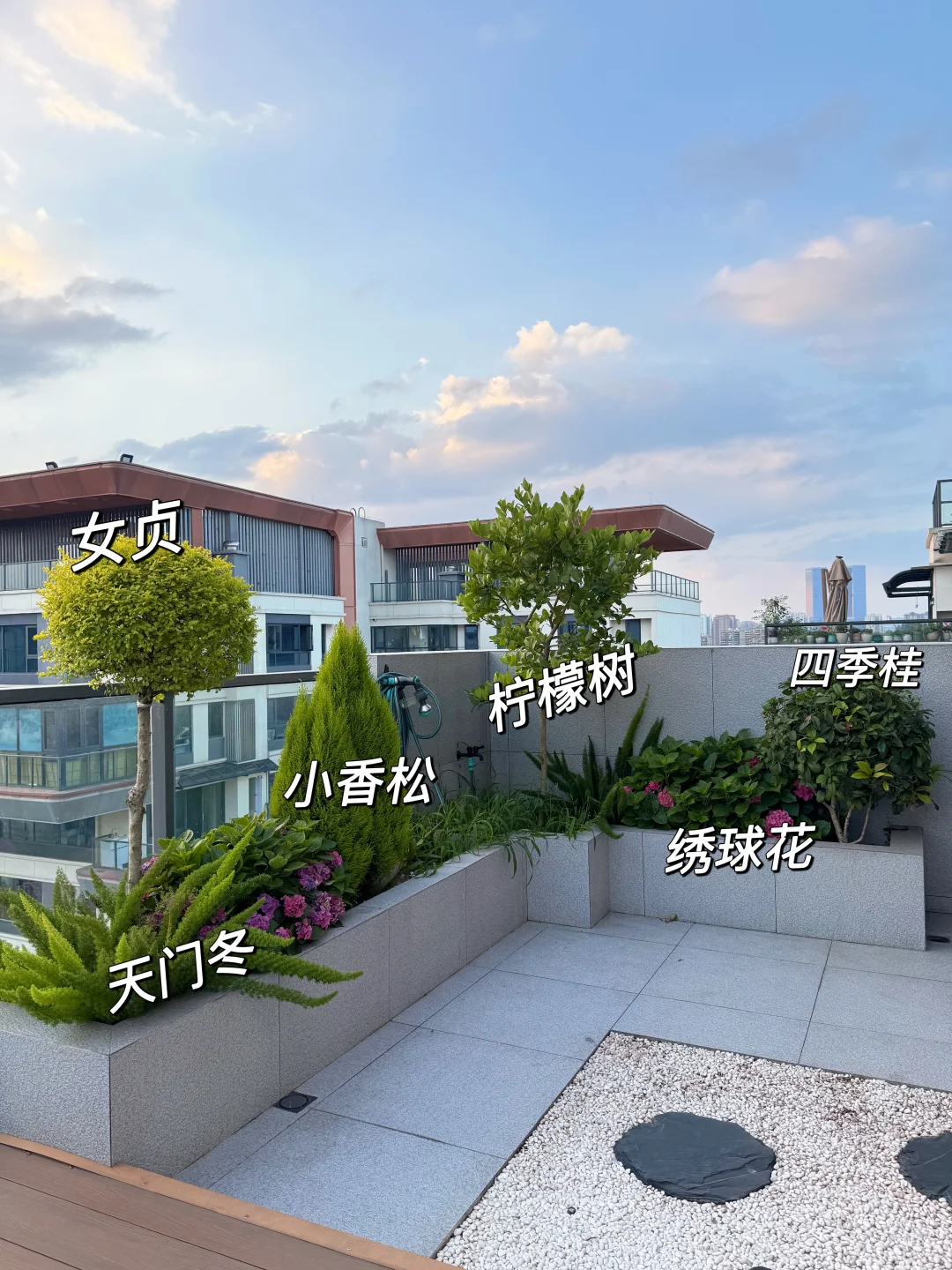 你们要的植物名称大全来啦！！！