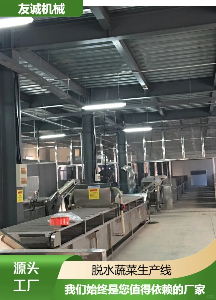 和田脱水蔬菜生产线如何选