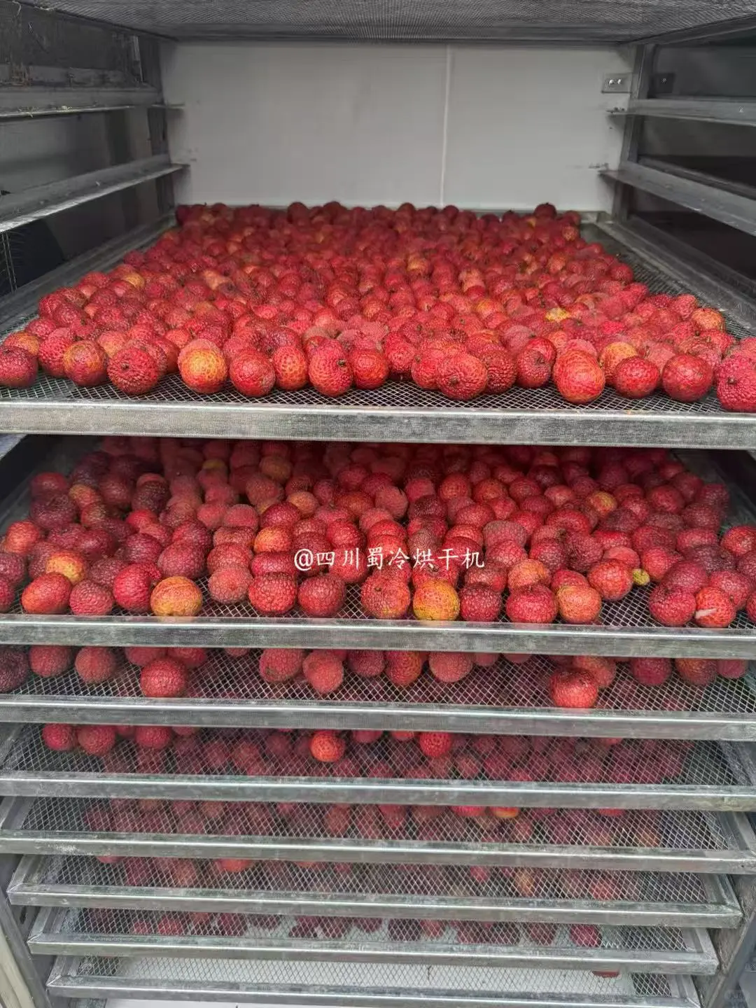 这台烘干机承包果干 / 菌菇 / 药材 / 肉制品