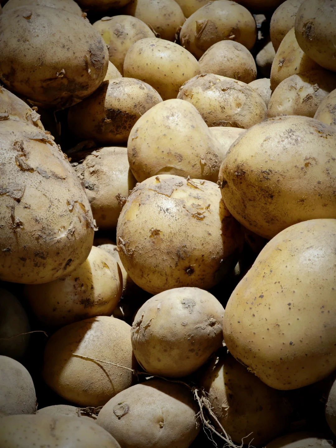 色彩生活｜瞧，超市里的果蔬如此缤纷多彩