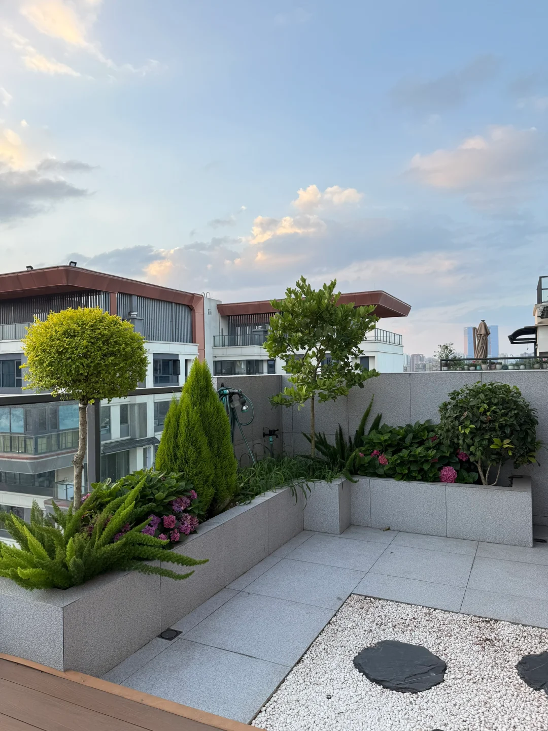 你们要的植物名称大全来啦！！！