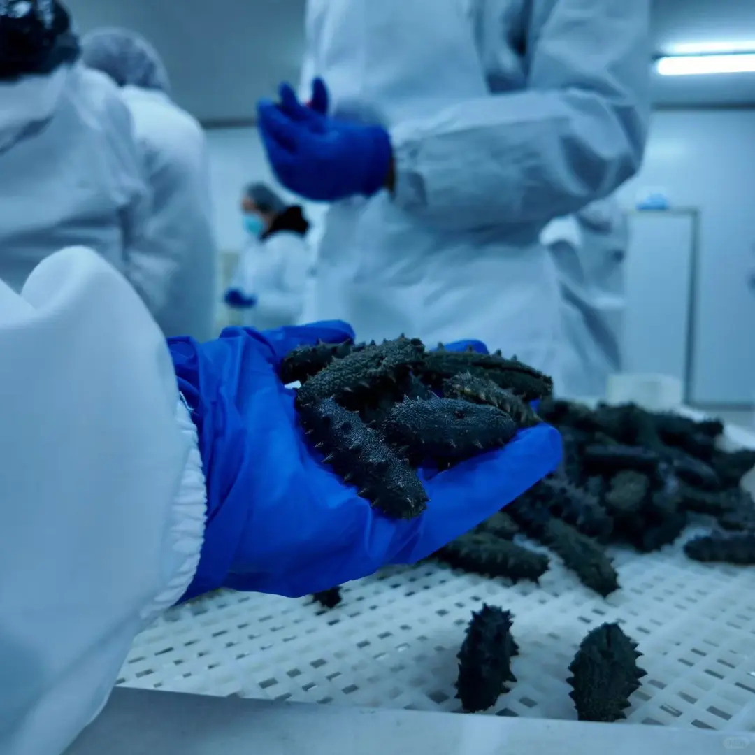 ??源头工厂 贴牌代工 电商代发 批发