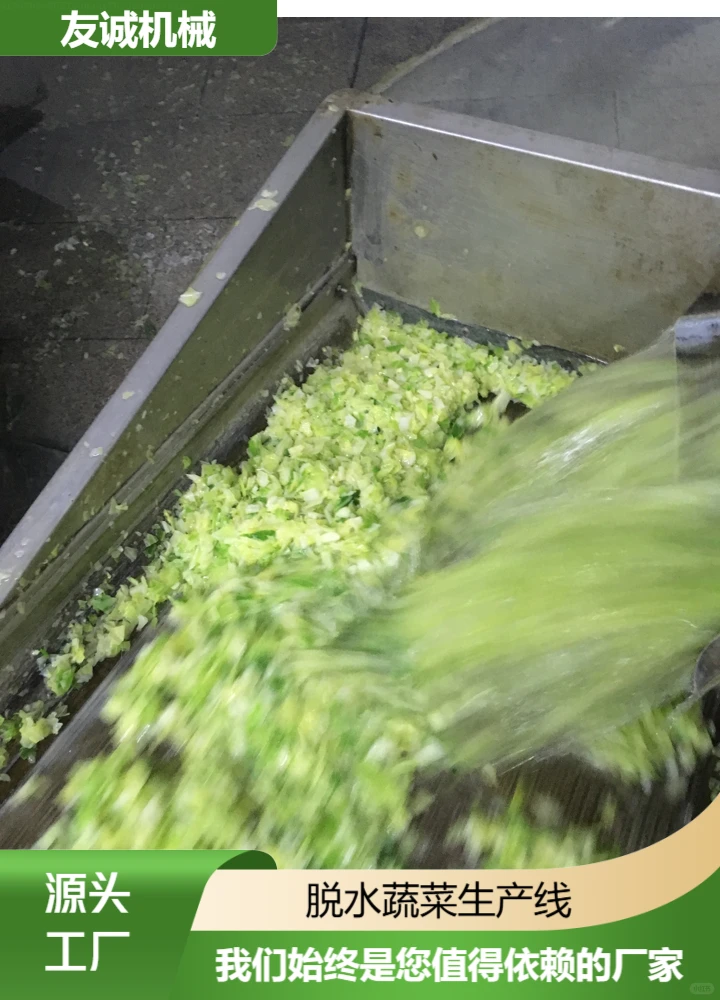 河南苹果切片机采购