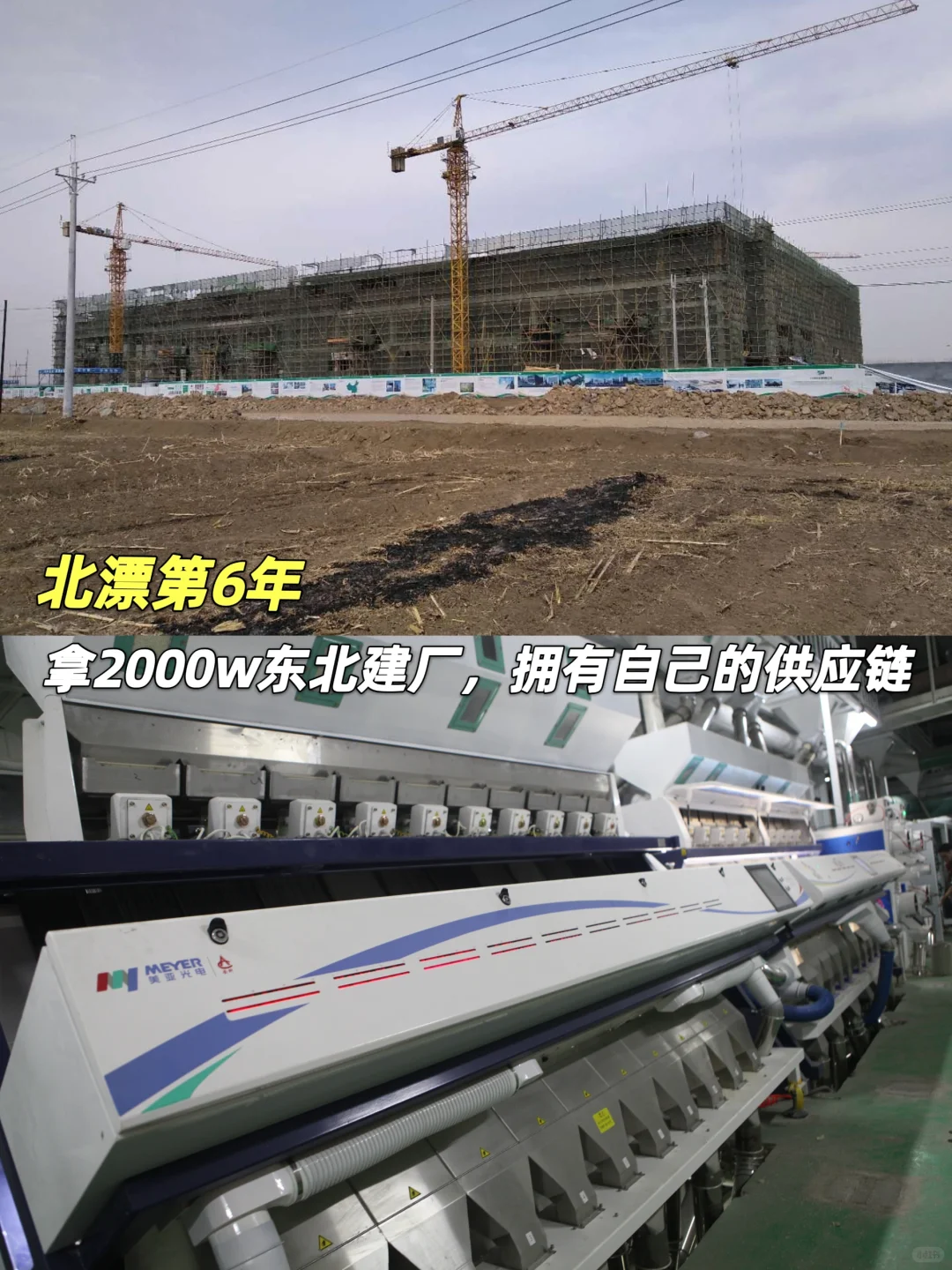 农村女孩爆改上市老板：靠谁都不如靠自己！