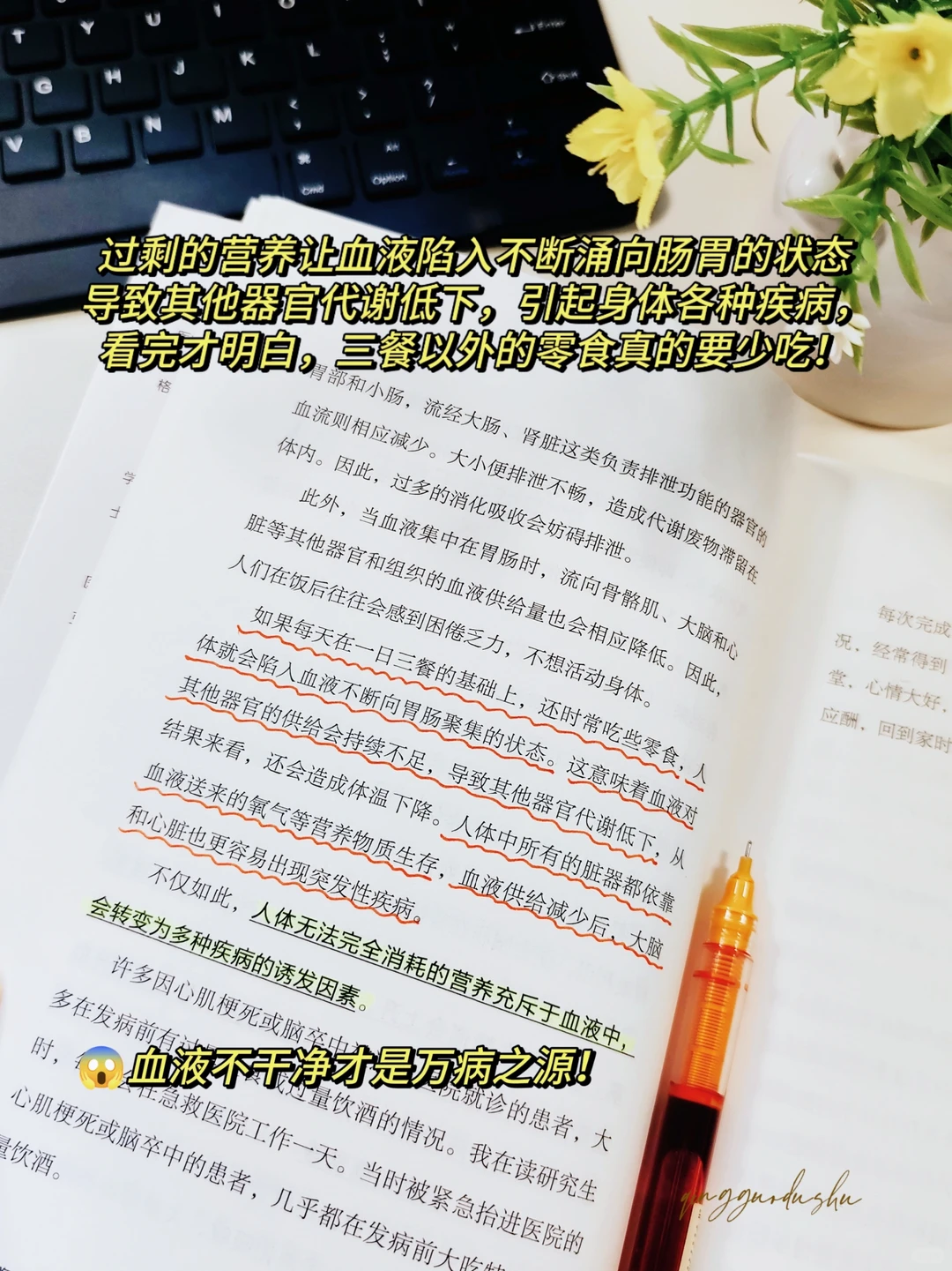 如果你不想生病，你该怎么吃？