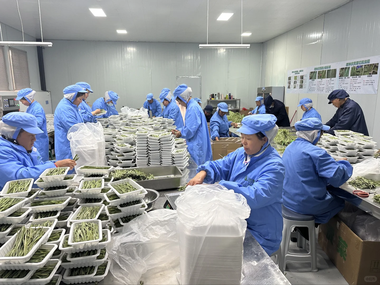 标准化生产铸就品质—探访微神农贡菜干车间