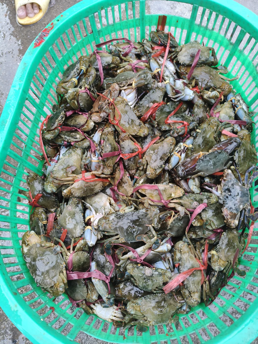 陵水本地人带路！免费代购海鲜+家庭式加工