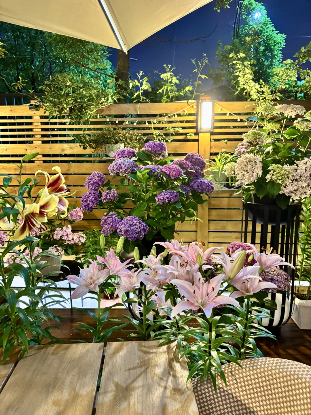 讲真，有这样的院子我能呆1年不出门！?