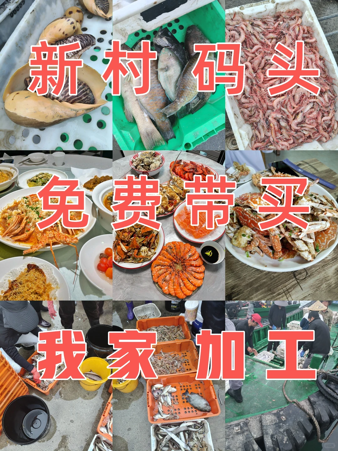 陵水本地人狂推❗️免费带买海鲜+自家加工
