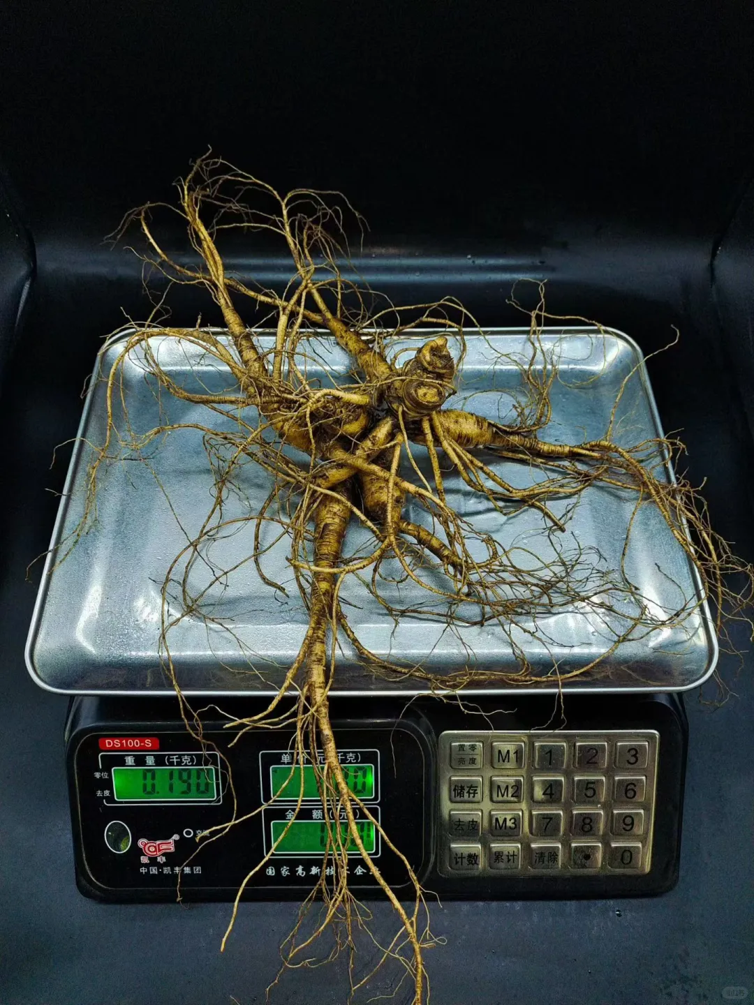 【双芦精品大货】