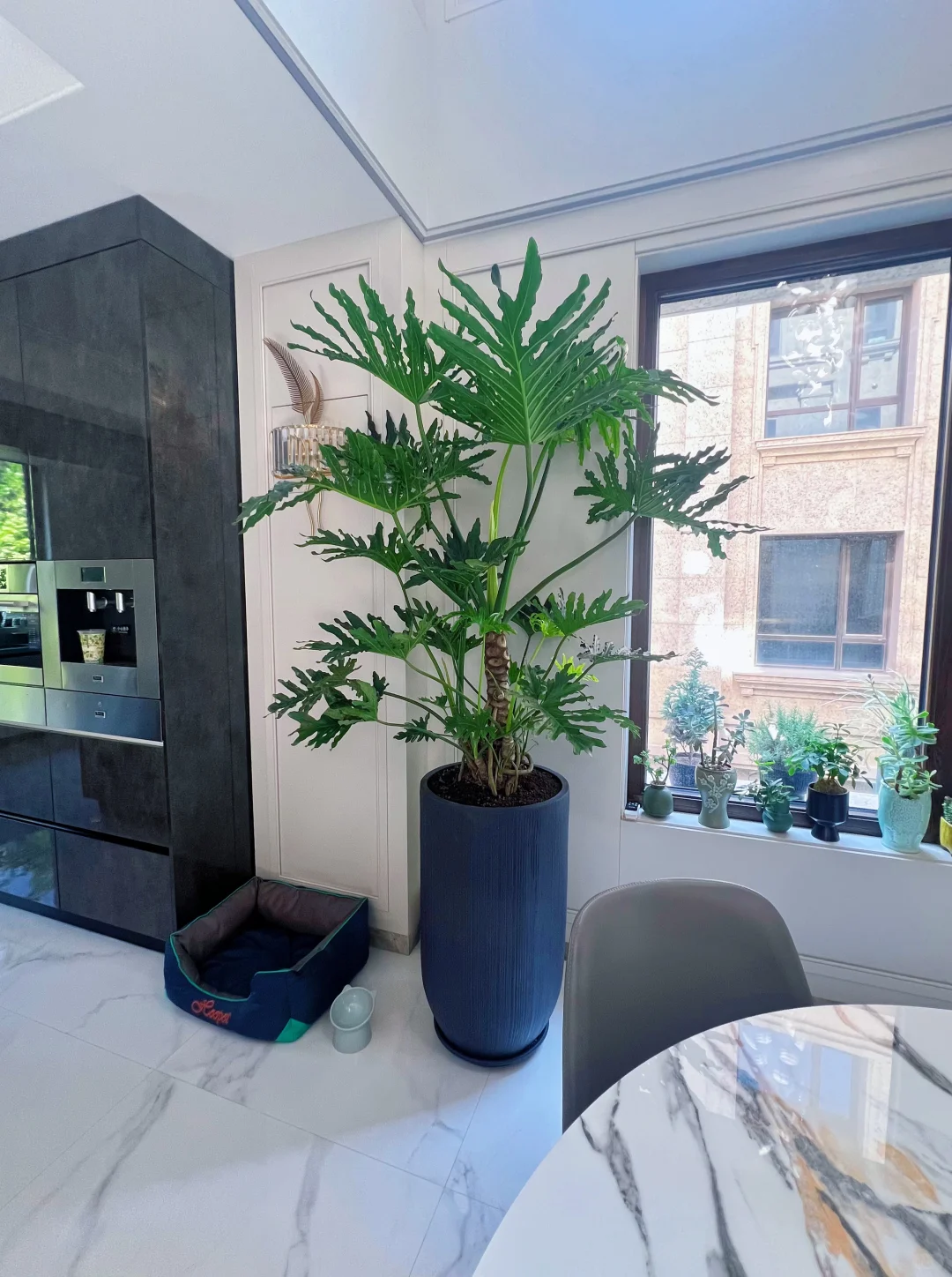 爱死了这旺盛的生命力！