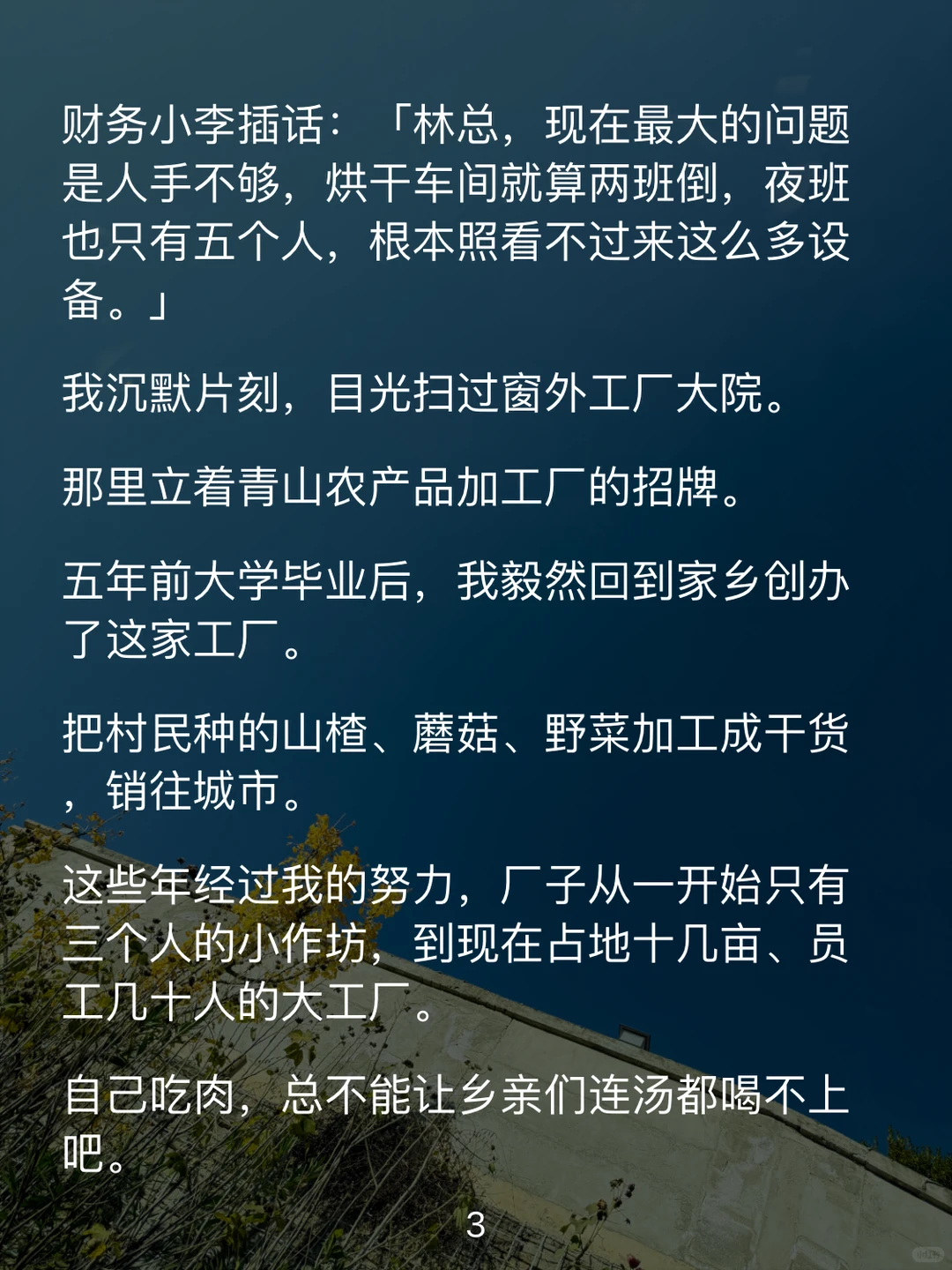 大学毕业后，我回村办了一家农产品加工厂。