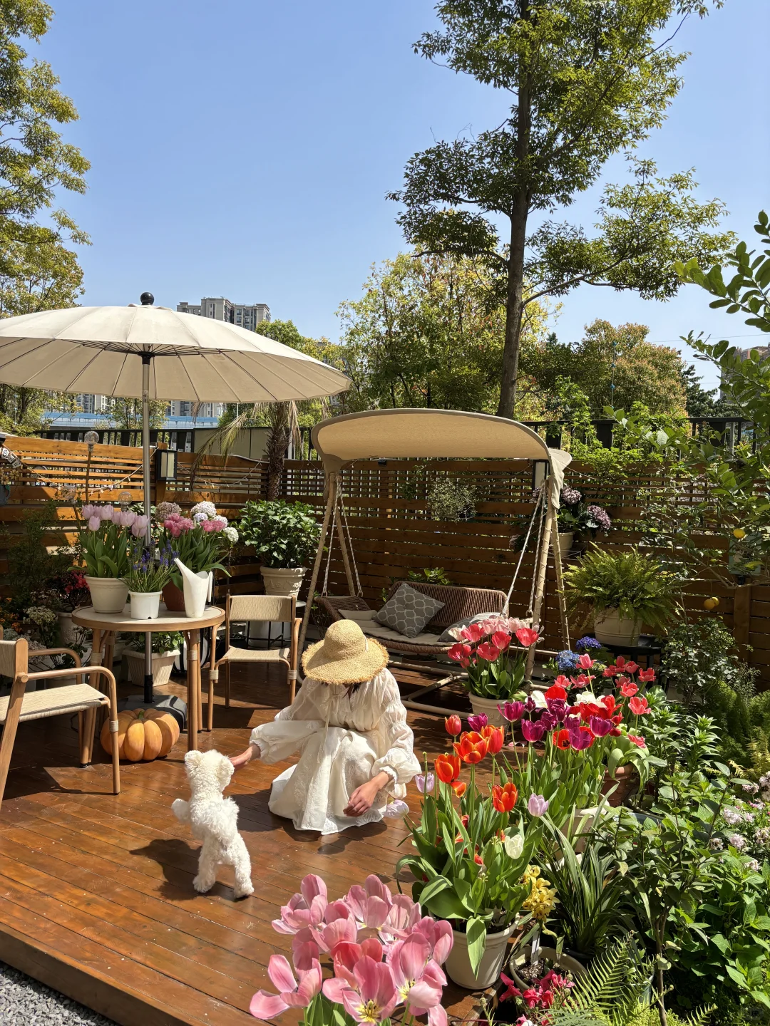 讲真，有这样的院子我能呆1年不出门！?