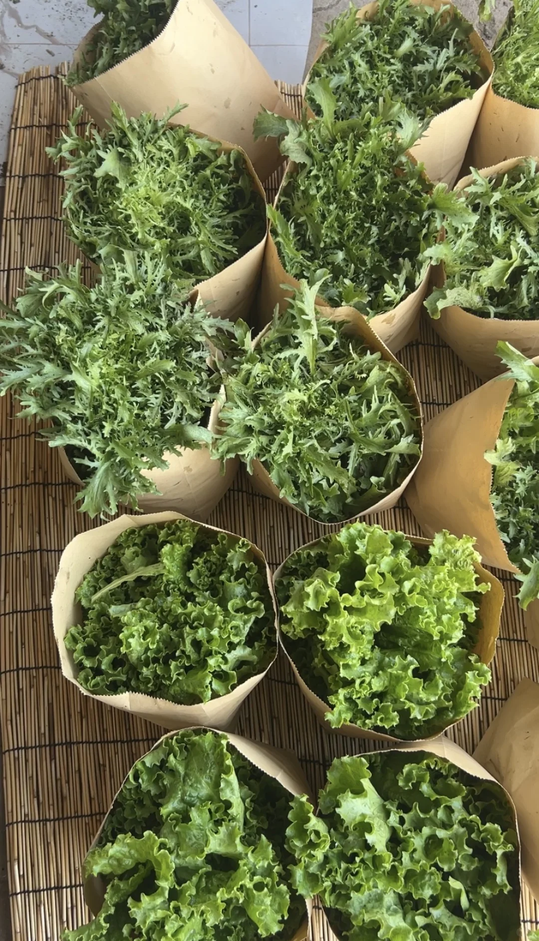 每天10元，给娃吃带泥土味的纯绿色蔬菜