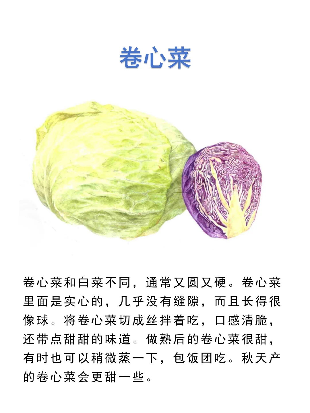 食用叶和茎的蔬菜