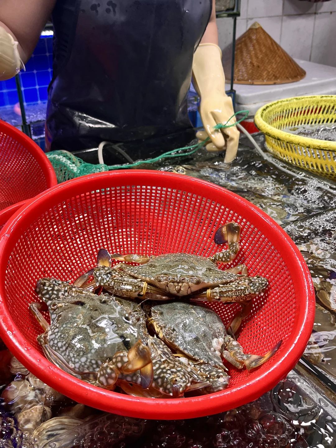 跟着三亚人来的本地市场