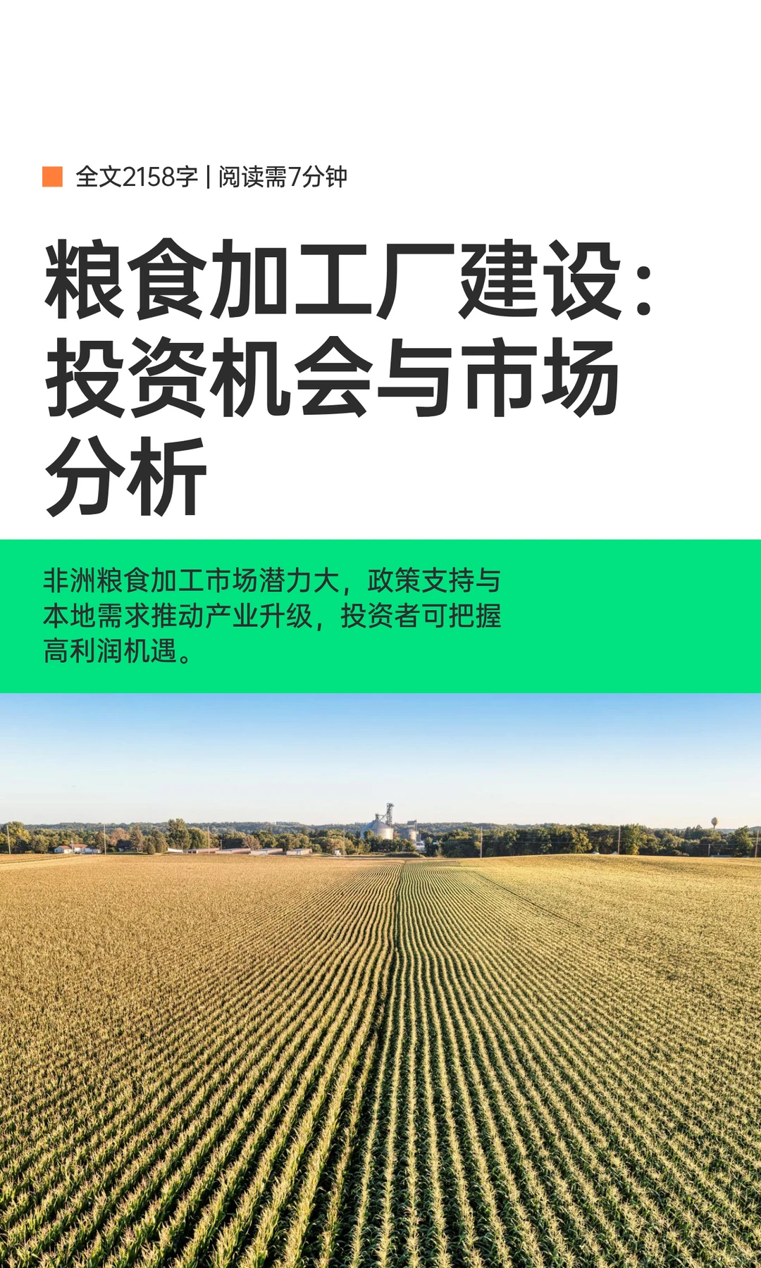 粮食加工厂建设：投资机会与市场分析