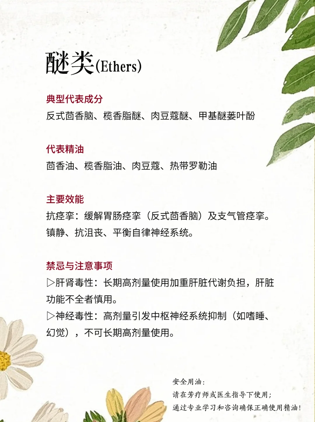 ?精油化学全解析（2）