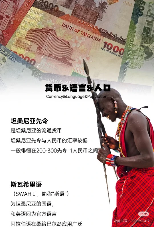 非洲海运之坦桑尼亚篇！