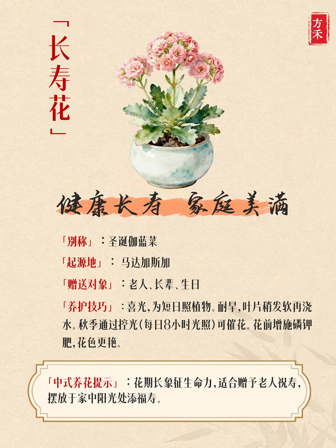 9种花卉藏玄机? 家宅兴旺好运来