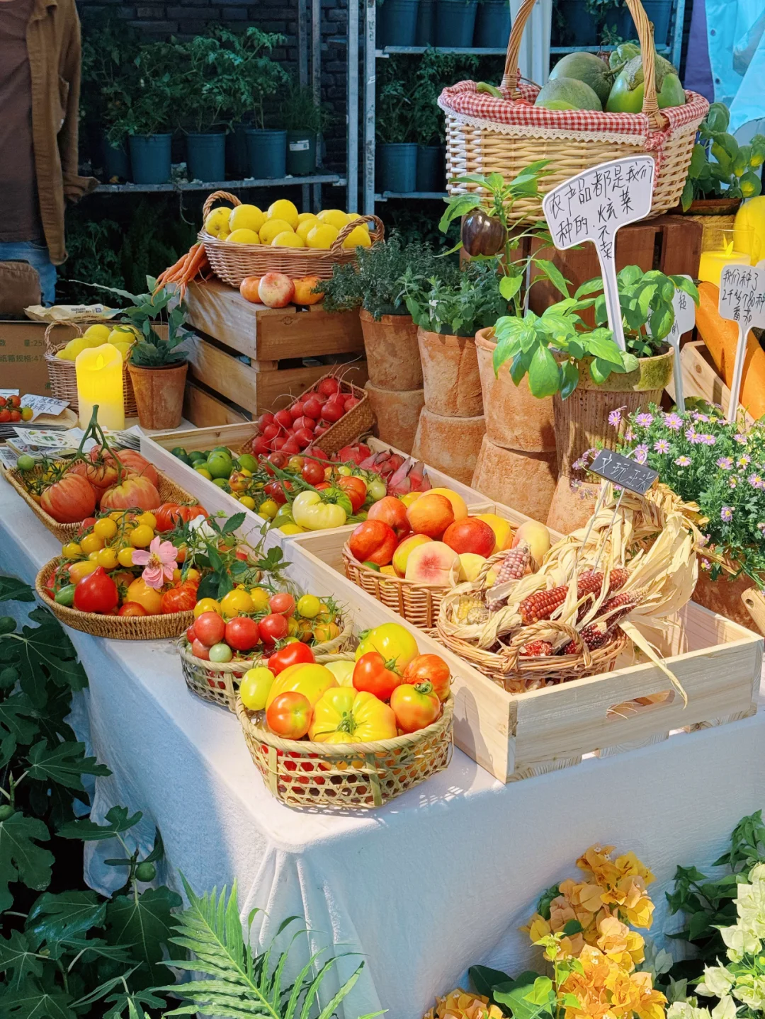 快来找我们玩?苏州本色美术馆