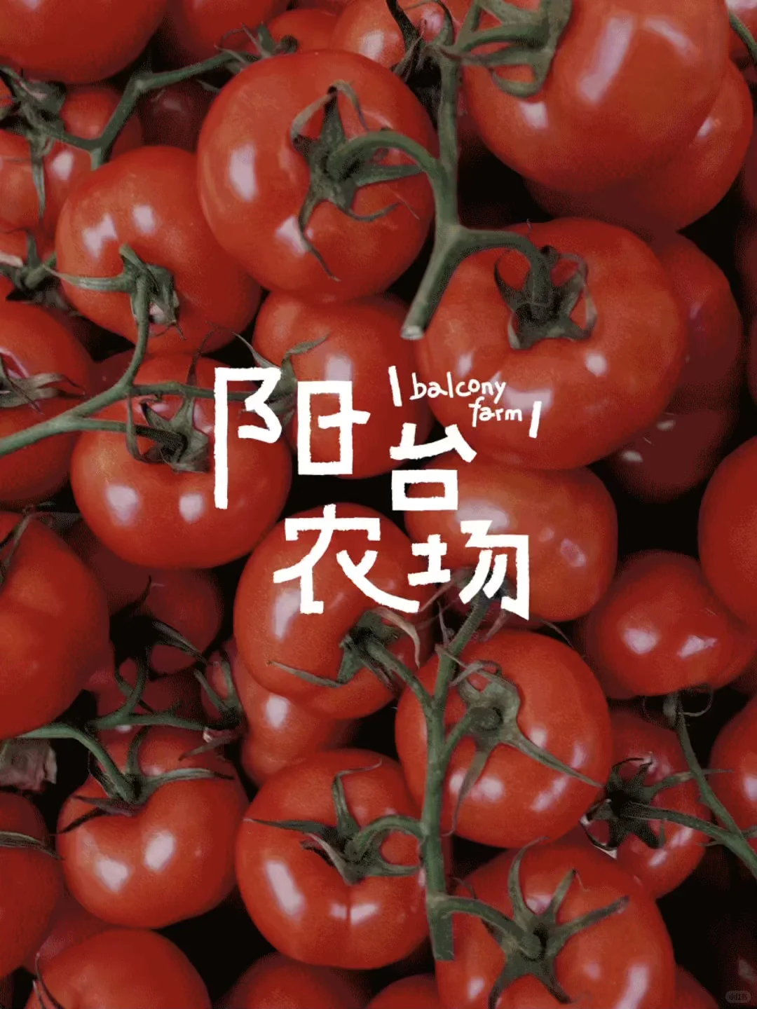 在阳台农场?庆祝大大小小的丰收。