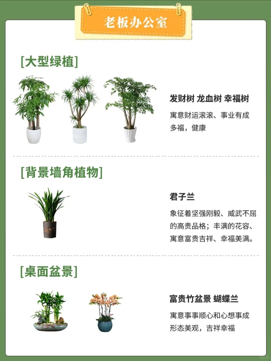 北京全区域专业绿植养护，绿植租摆