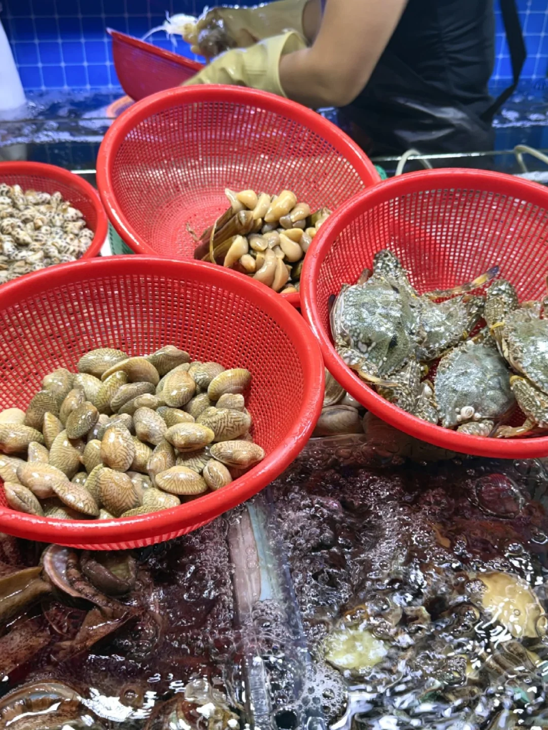 三亚这个菜市场的海鲜也太香了