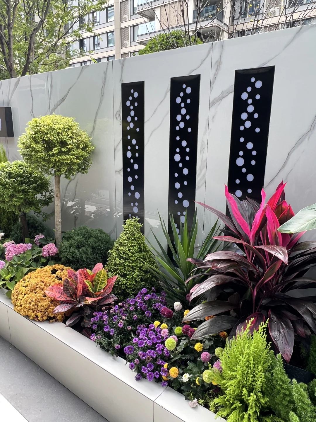 ?花园植物搭配｜普通人自己买植物装的花园