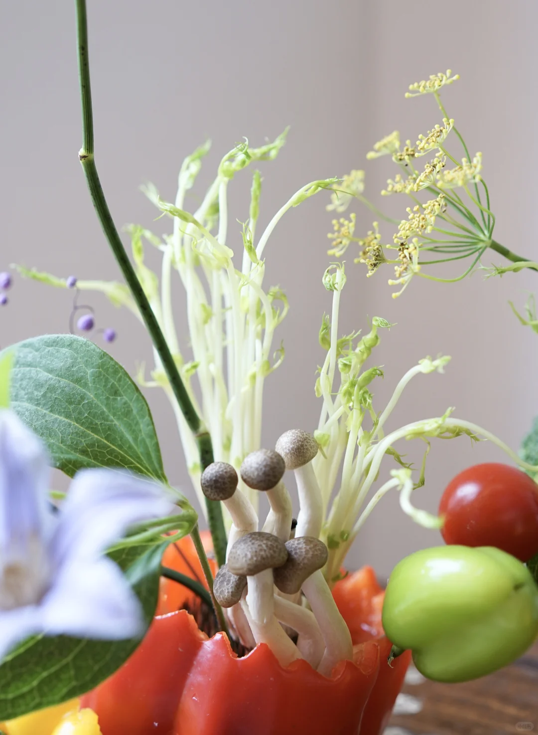 被这些色彩鲜艳的蔬果治愈了??️?