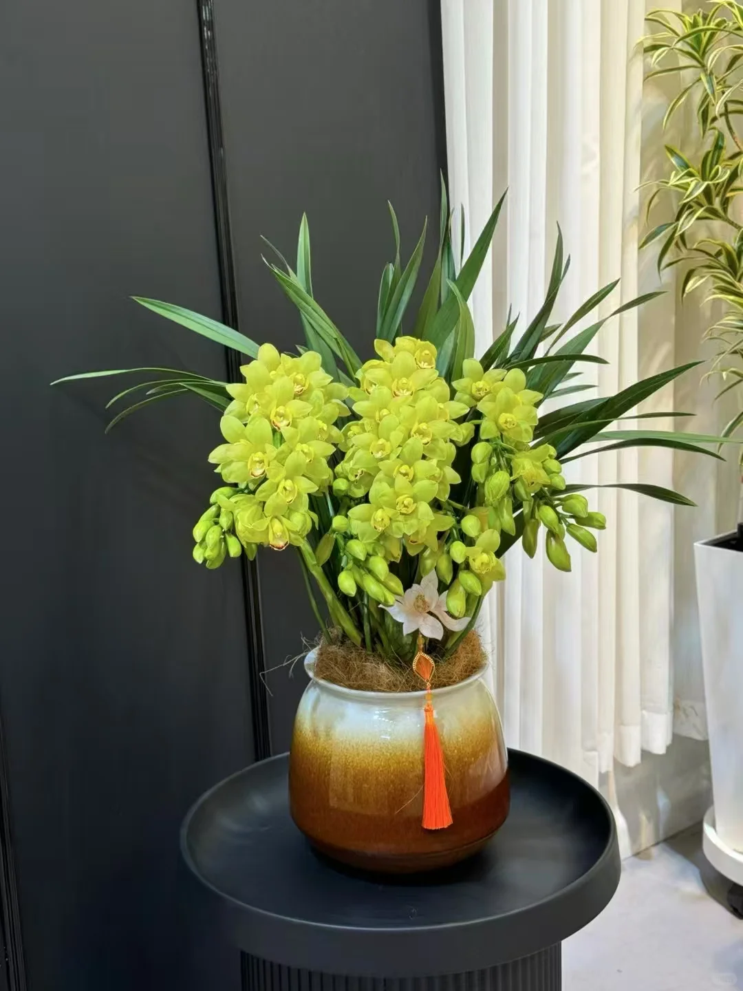 大花惠兰 最近的销冠?