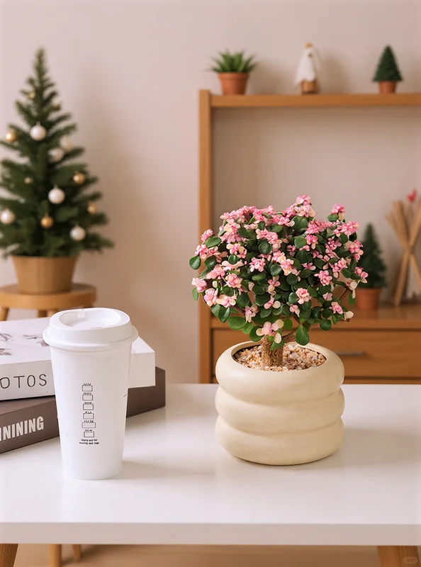 被问爆的金枝玉叶摆放技巧，家居氛围感拉满