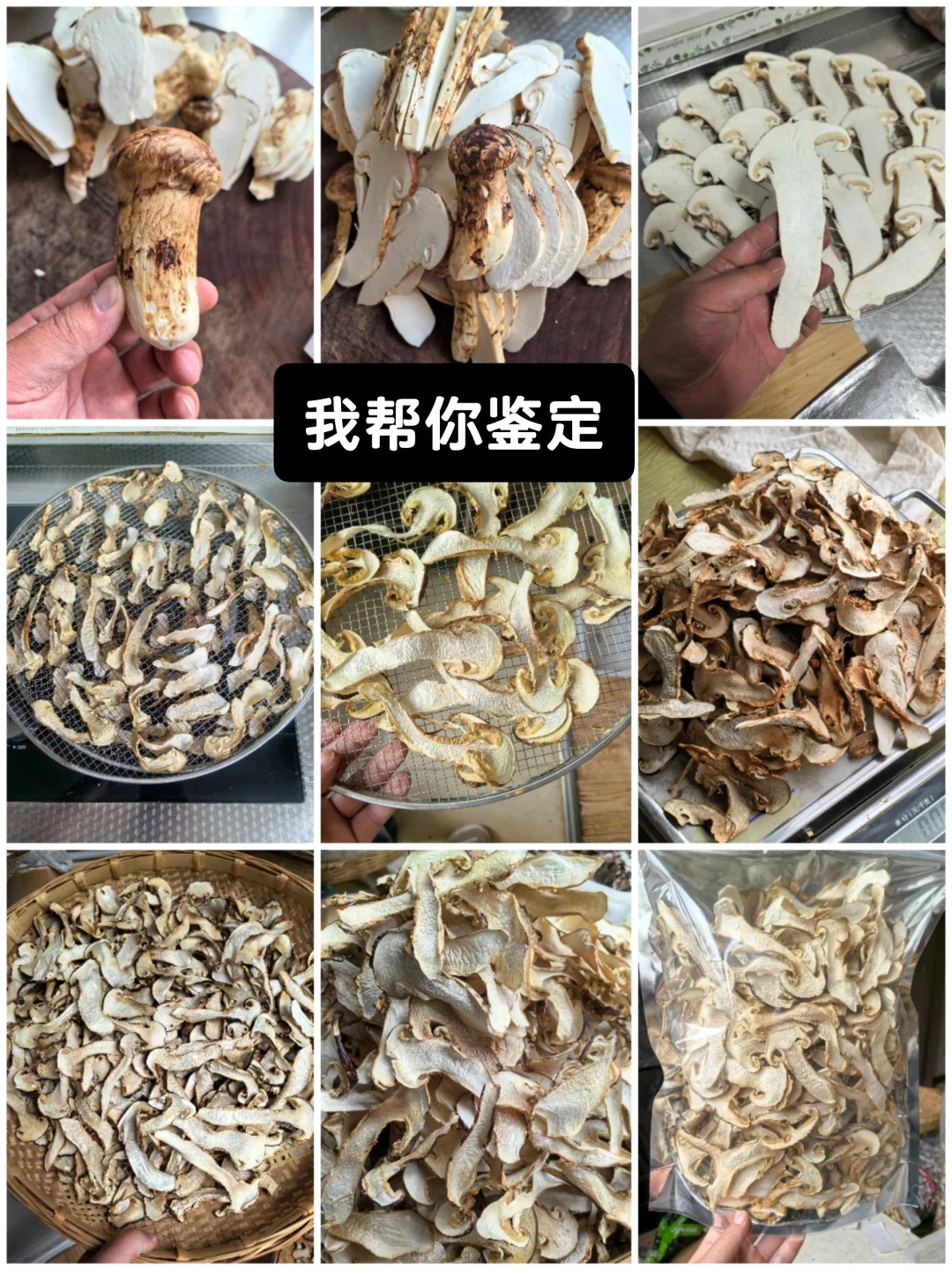 是不是松茸干片？评论区见！
