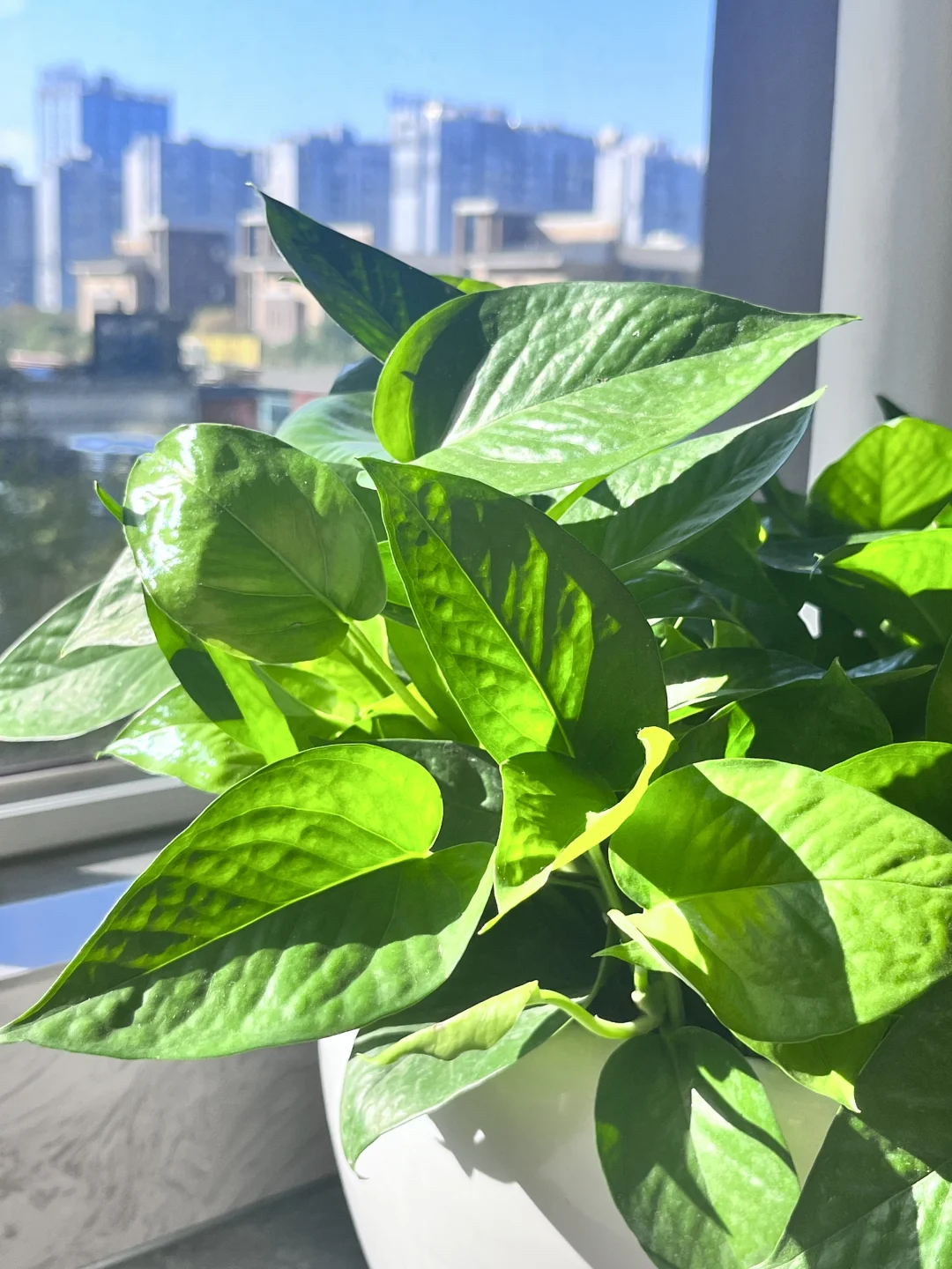 这❗️冬日暖阳???