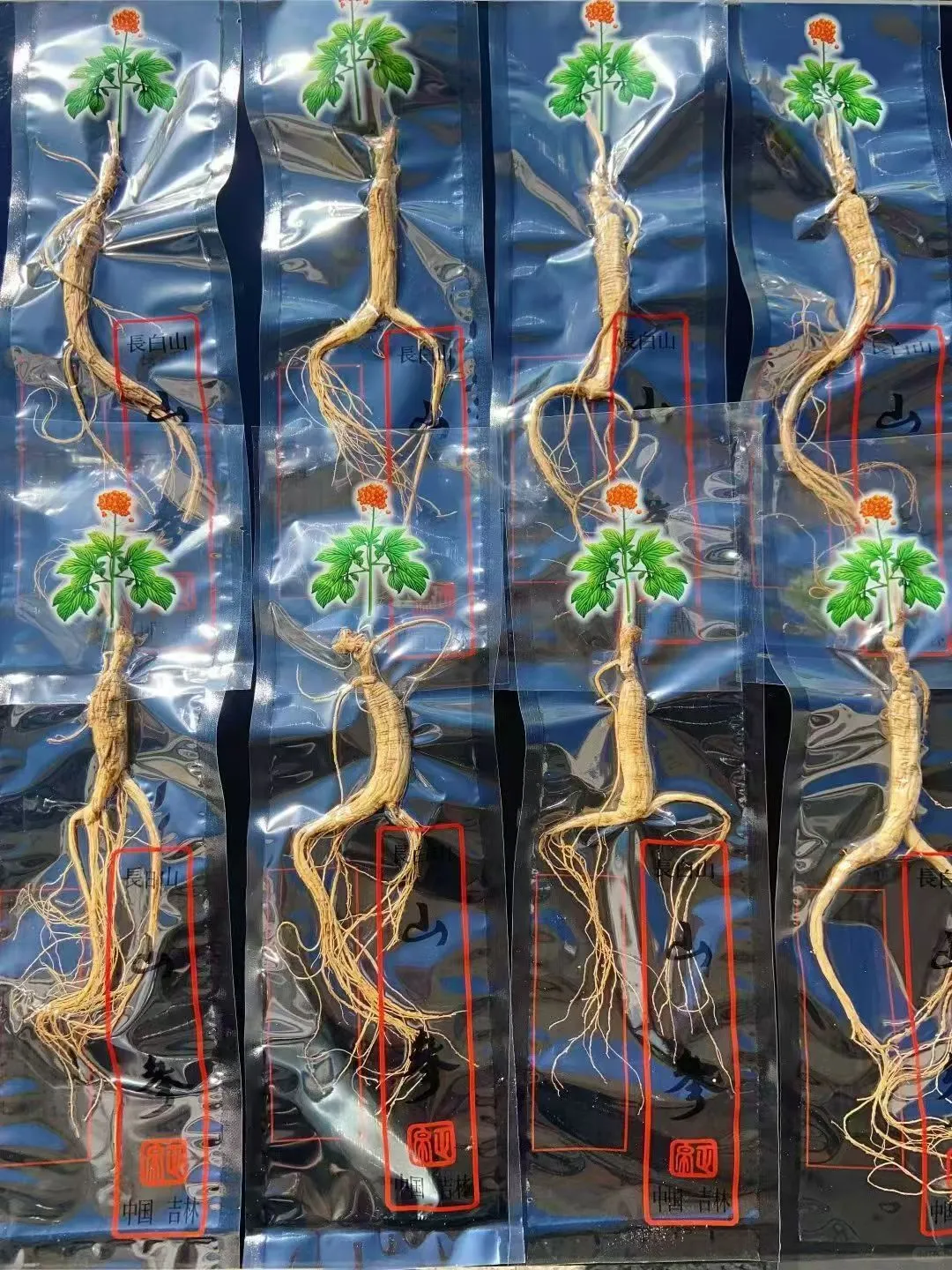 10年林下参20元一根