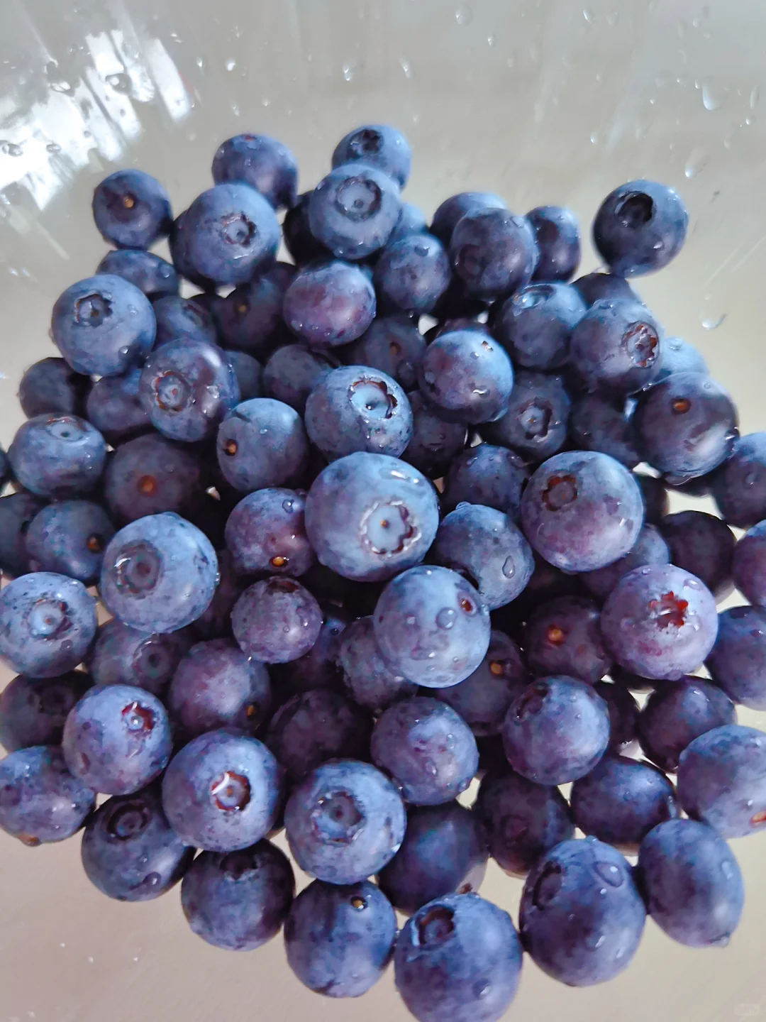 蔬菜品种合集???????