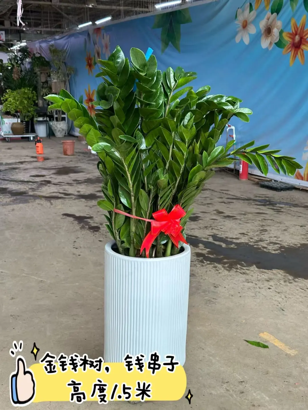 沈阳同城送货上门啦家人们?