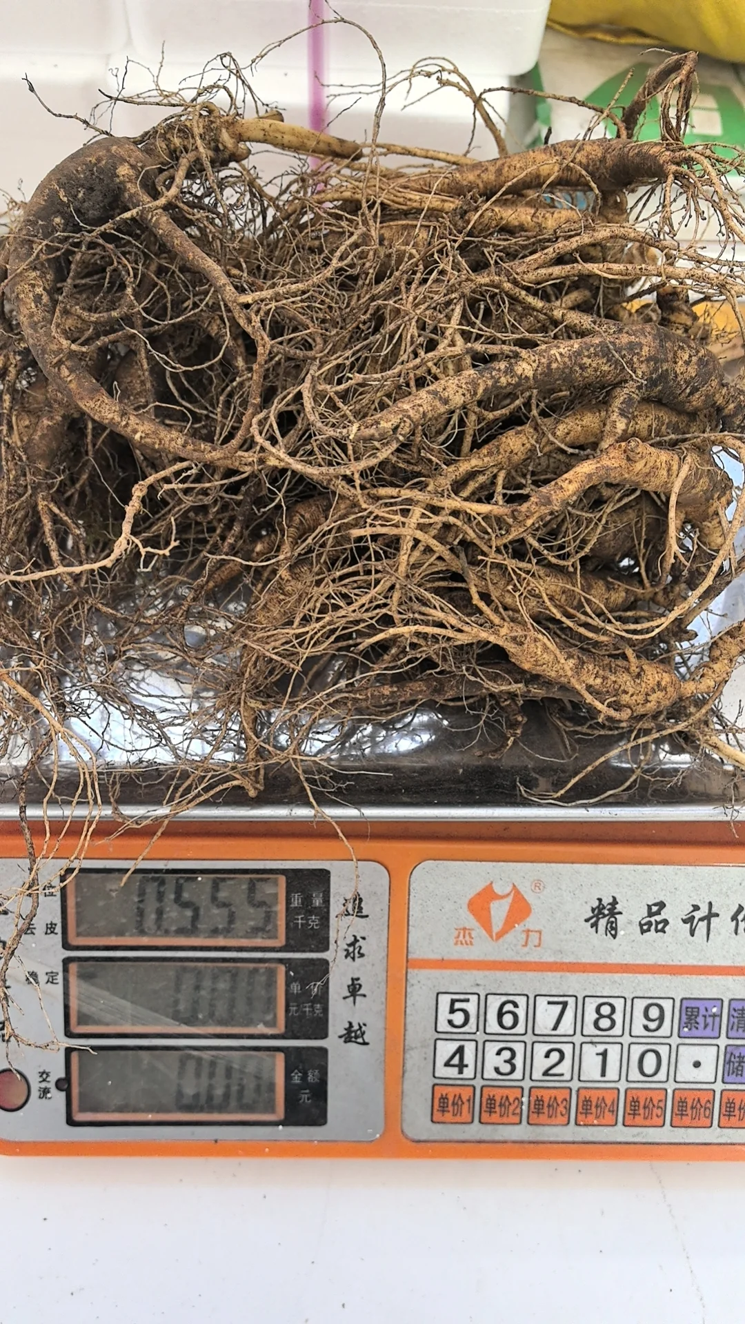 林下籽残参，品相不好看，自用性价比高