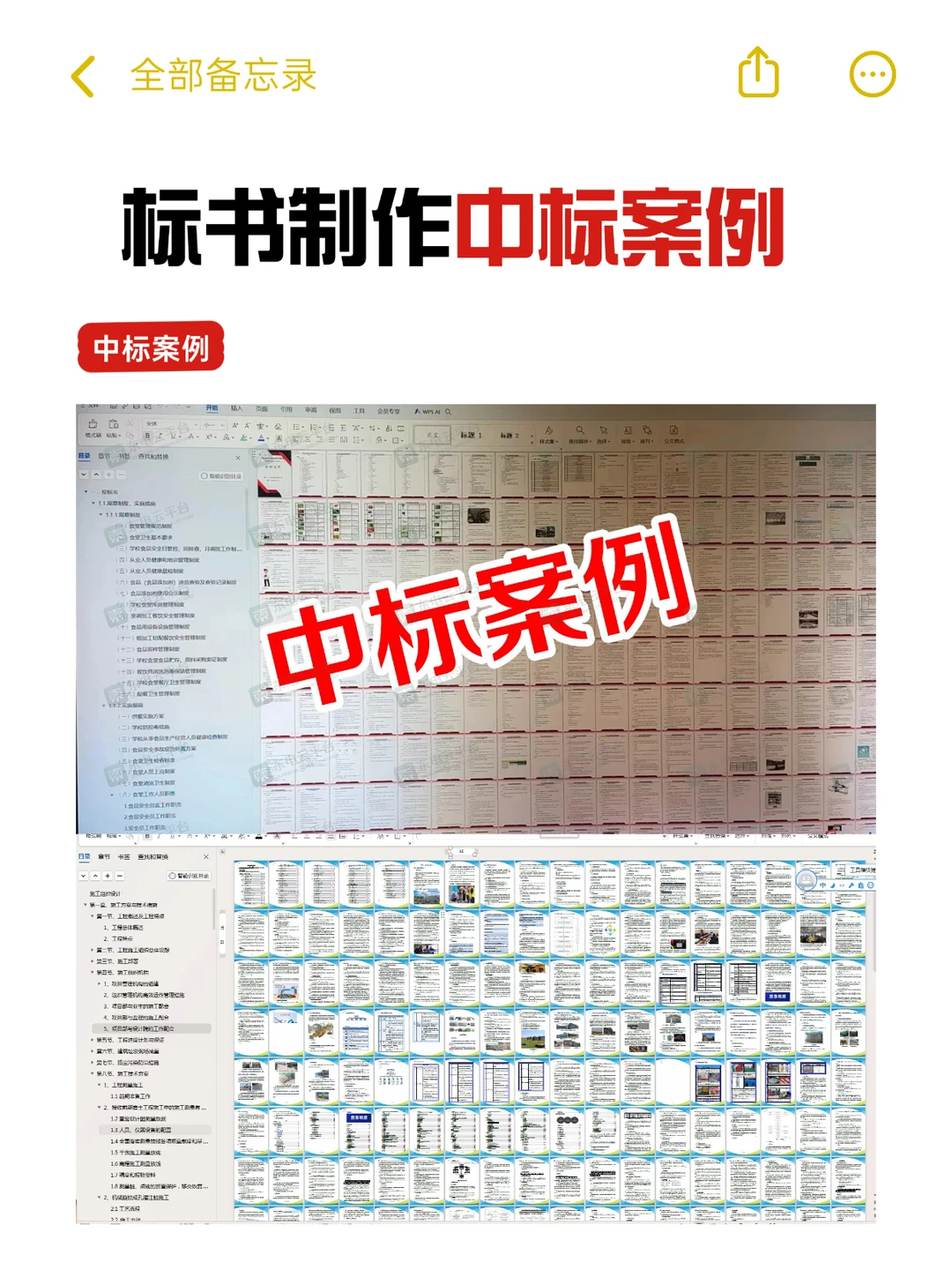 专业标书制作团队，精准解读+高效成标 ❗️