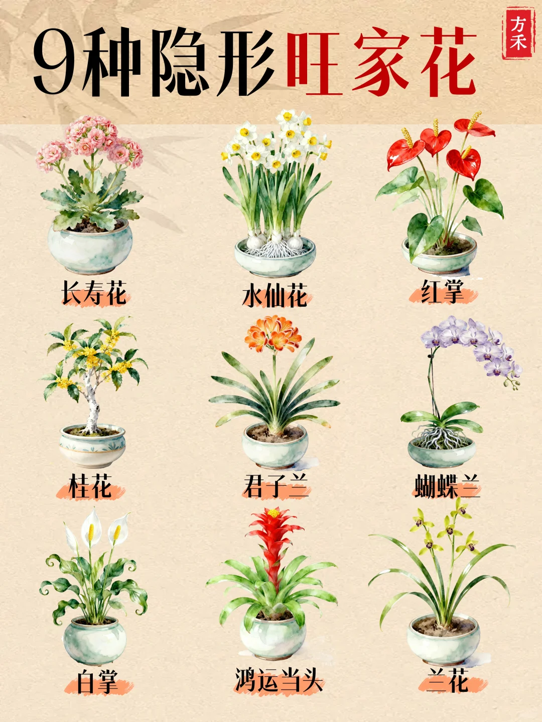 9种花卉藏玄机? 家宅兴旺好运来