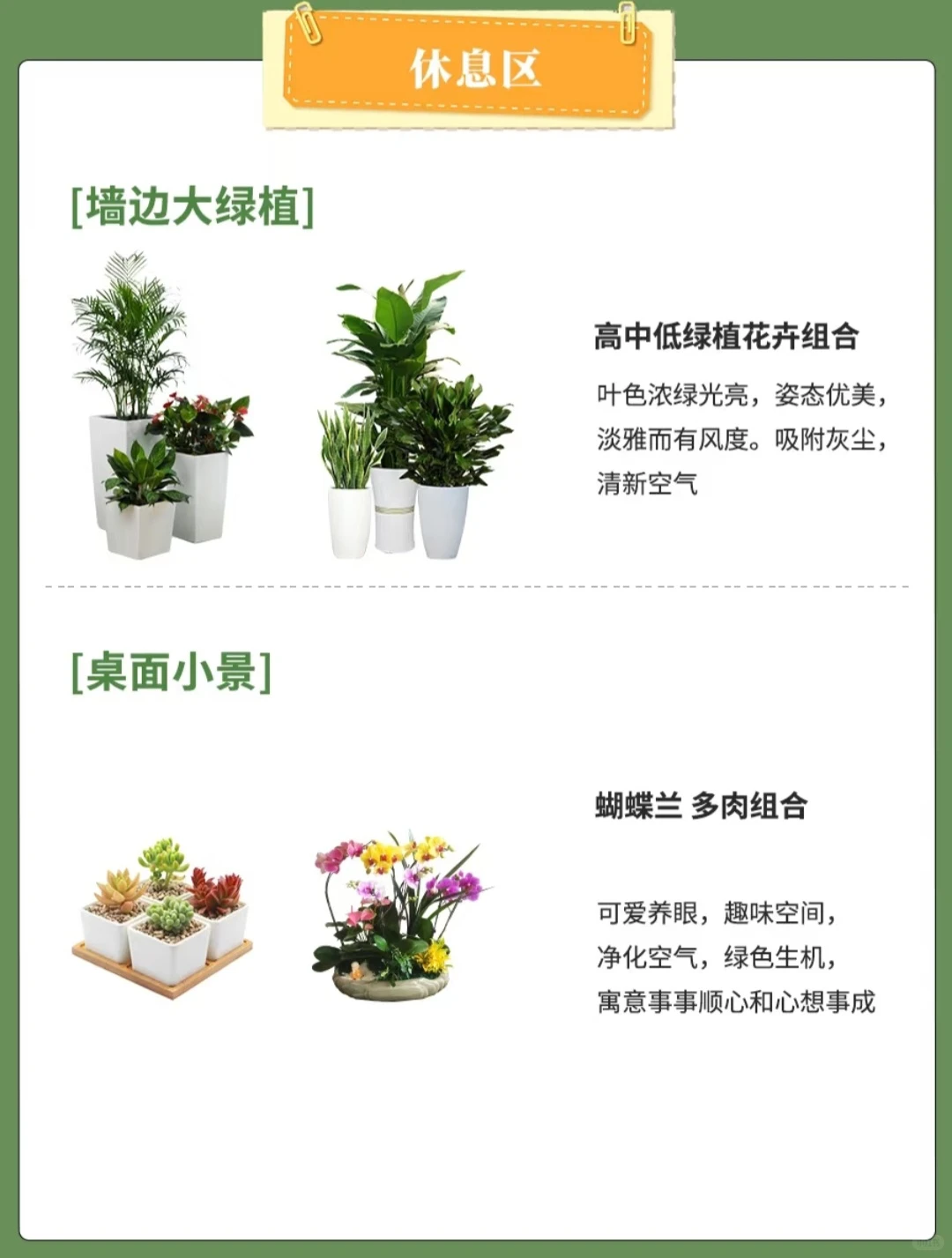北京全区域专业绿植养护，绿植租摆