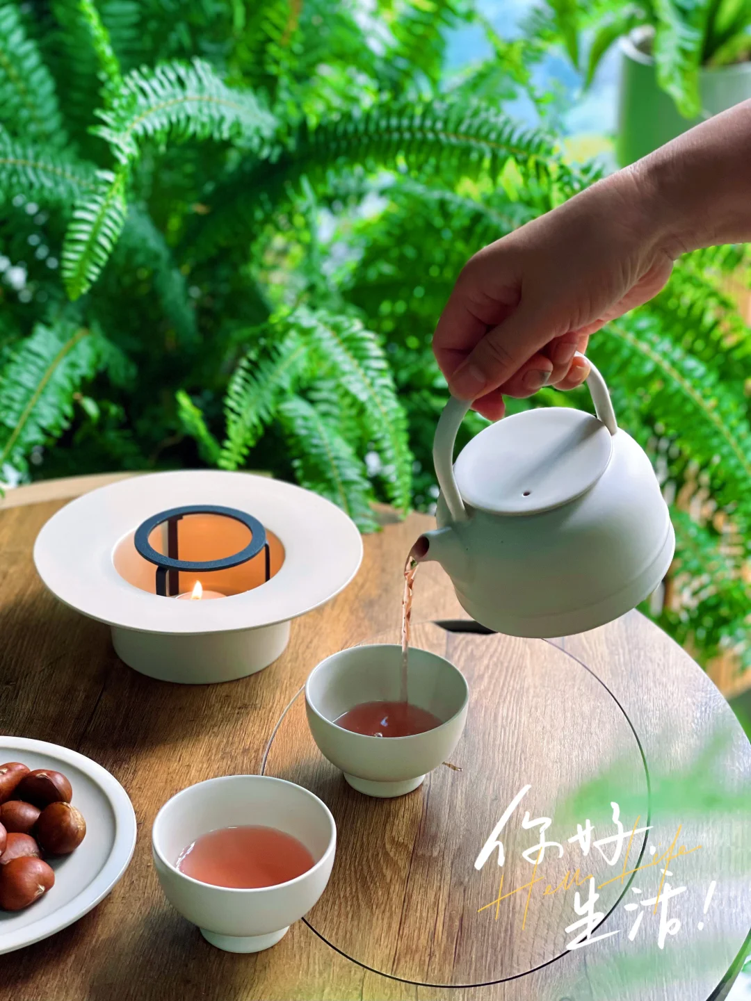 9m²小森林｜跟大家聊聊我家阳台的植物选择