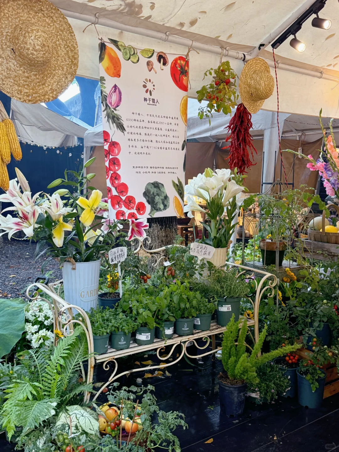 快来找我们玩?苏州本色美术馆