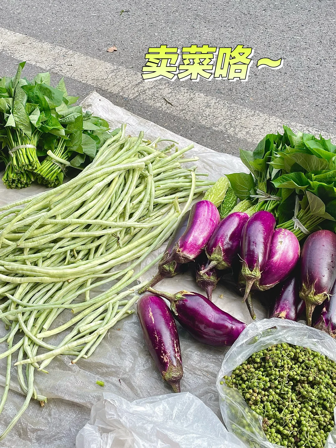 跟着奶奶卖自种鲜菜咯～