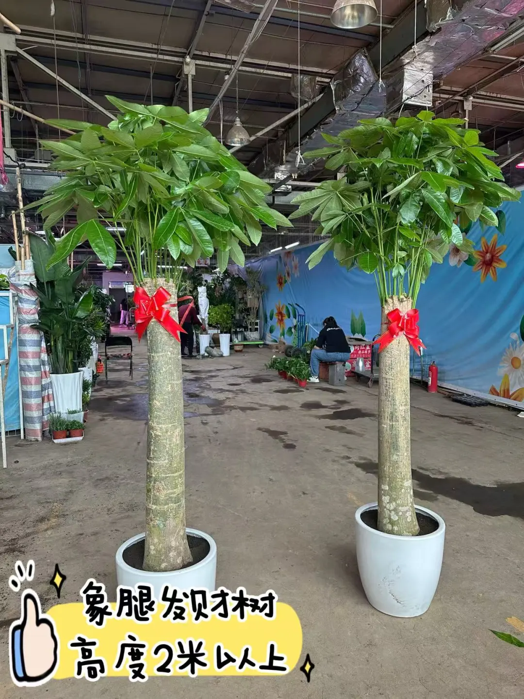 沈阳同城送货上门啦家人们?