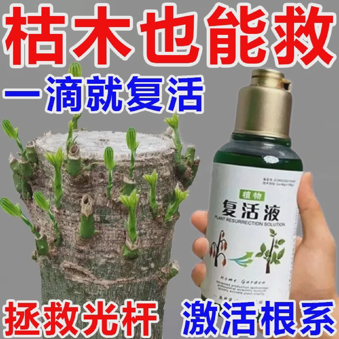 拯救植物小妙招！植物花卉复活液让叶片重