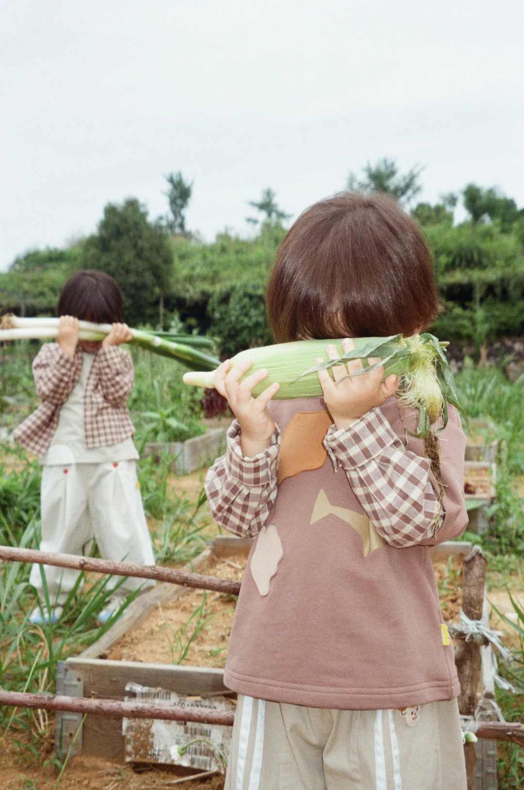在阳台农场?庆祝大大小小的丰收。